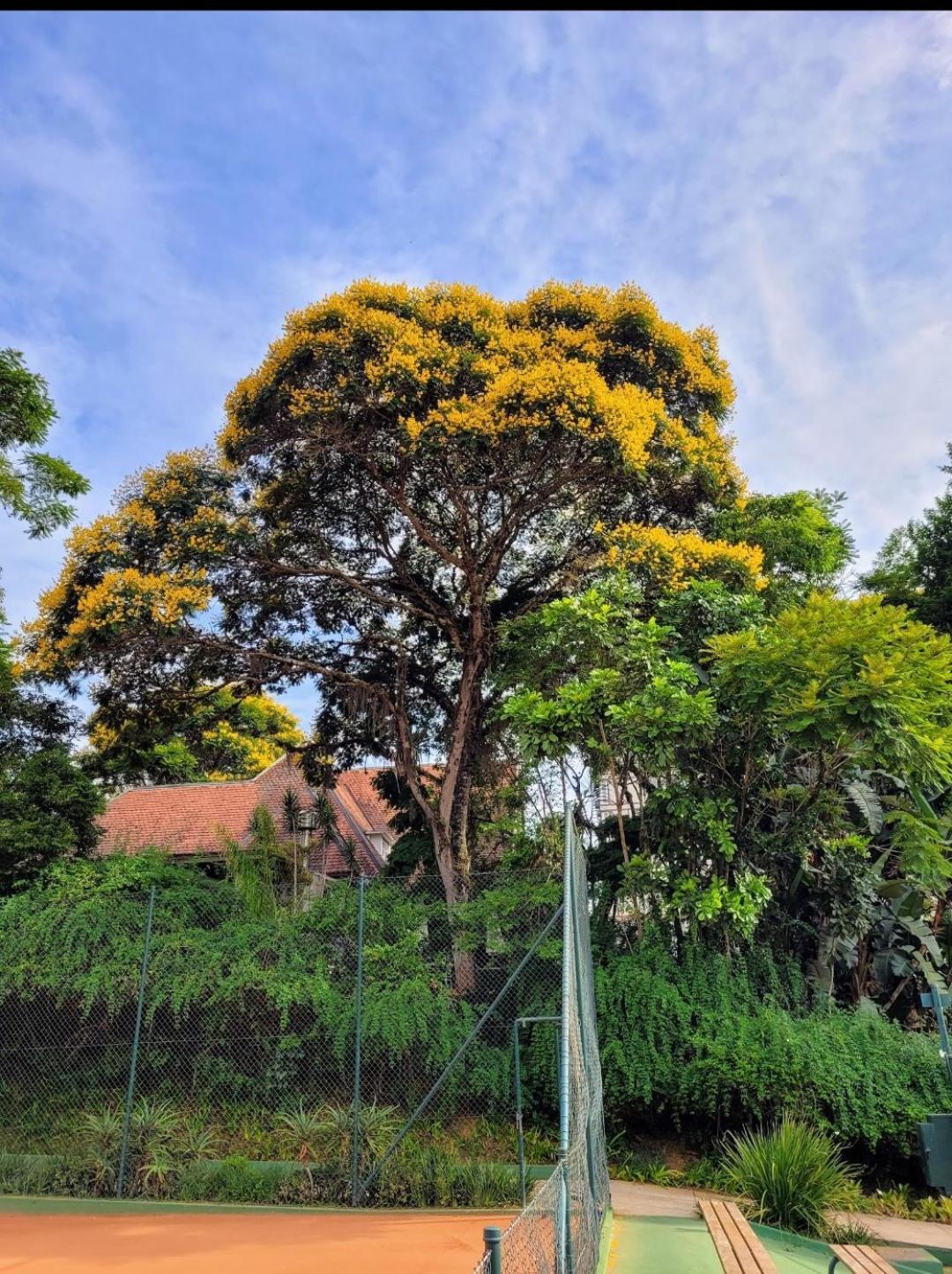 Granja Brasil Puc 10 2 Itaipava Exterior foto